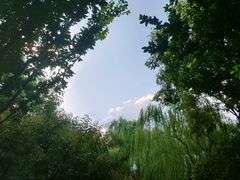 -顺城公园