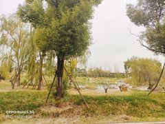 -白鹭湾湿地公园