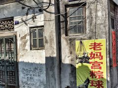 -老妈宫粽球