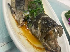 老虎斑-湛江渔港·大排档(乐园路总店)