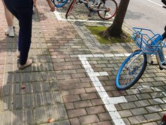 -上海浦东星河湾酒店