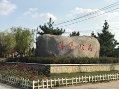 -羊亭河湿地公园