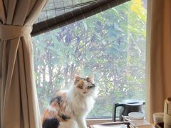 -西安华清御汤酒店