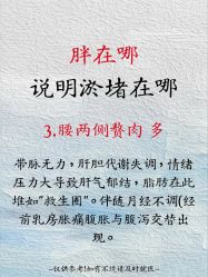 点击看大图 -玛莲朵·海菲秀冰珀科