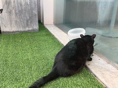 -UNIUNI(凯瑟琳广场店)