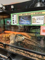 -Zoolung Zoolung动物主题公园(海信广场店)