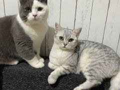 -四川大学(华西校区)