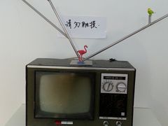 -骑鹅公社(南开大悦城店)