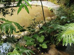 -燕晗山郊野公园