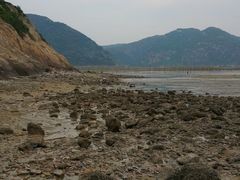 -北岐滩涂