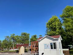 -春花秋色城市公园