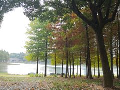 -尚贤河湿地