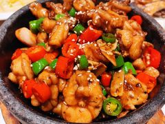 -青叶202都市餐厅(迪诺水镇店)