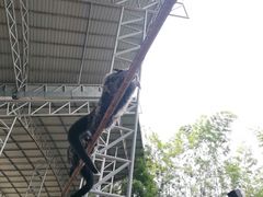 -清迈夜间动物园