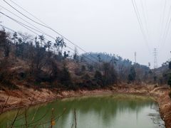 -青龙山国家森林公园