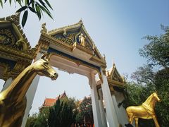 -洛阳白马寺