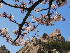 -崂山巨峰游览区