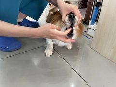 -宠颐生动物医院·小陆分院