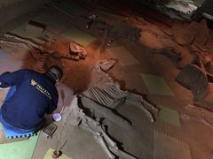 -洛阳周王城天子驾六博物馆