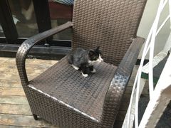 -EATALIA意塔利意式餐厅(鼓楼店)