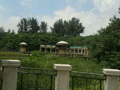 android_upload_pic-蠡湖中央公园