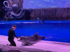 -华夏文旅海洋公园