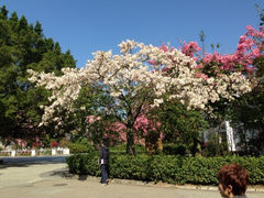 iphone_upload_pic-广州大学(桂花岗校区)