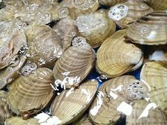 -大东海海鲜酒楼(渔人码头总店)