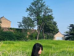 -汉长安城未央宫国家考古遗址公园