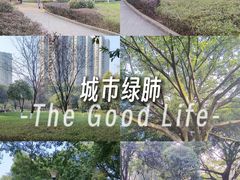 -龙头寺公园