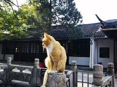 -西园戒幢律寺