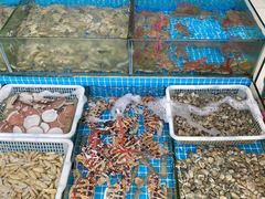 -广东惠东海龟国家级自然保护区