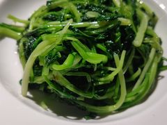 清炒鸡毛菜-金枝玉叶上海人家食府(三里河店)