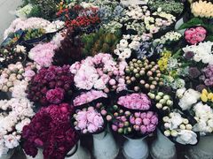 -双季花艺园艺市场(浦东店)