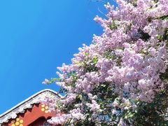 -青州市云门山风景区