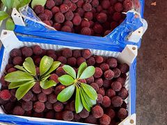 -上海农产品中心批发市场-停车场