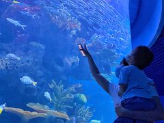 -多彩贵州城极地海洋世界