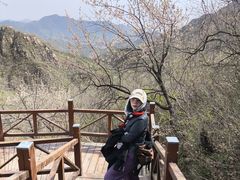 -大岭沟猕猴桃谷风景区