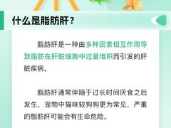 -瑞派申生动物医院·24H夜诊·国际动物医疗中心·骨外科(吴中路店)