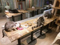 -小时光咖啡馆(开森度假森林店)
