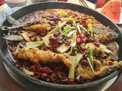 老板恋上鱼-老板恋上鱼(恒隆广场店)