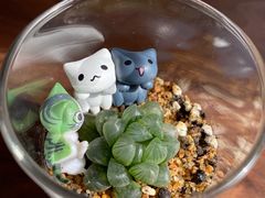 -Fridi Patisserie Cafe