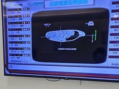 -北京观赏动物医院·24小时大型综合·猫专科·异宠专科