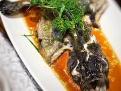 清蒸石斑鱼-达叔香味海鲜(海棠68环球美食街店)