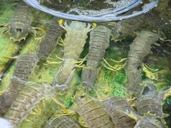 -班赞海鲜市场