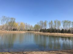 -东郊湿地公园