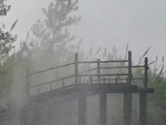 -泗洪洪泽湖湿地景区