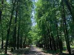 -上海海湾国家森林公园