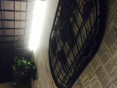 -味仙疯美蛙鱼头(清扬路总店)