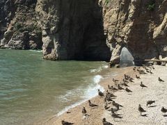 -海驴岛(荣成市)